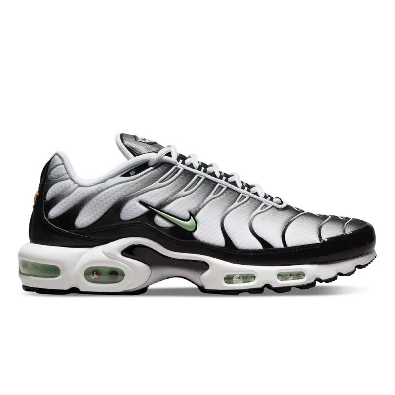 Air Max Plus TN 1 "Seafoam"