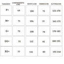 Conjunto Tracksuits Inter De Milão